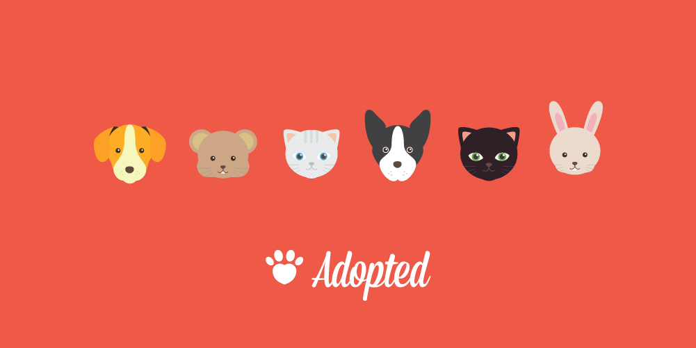 Harry Go Adopted